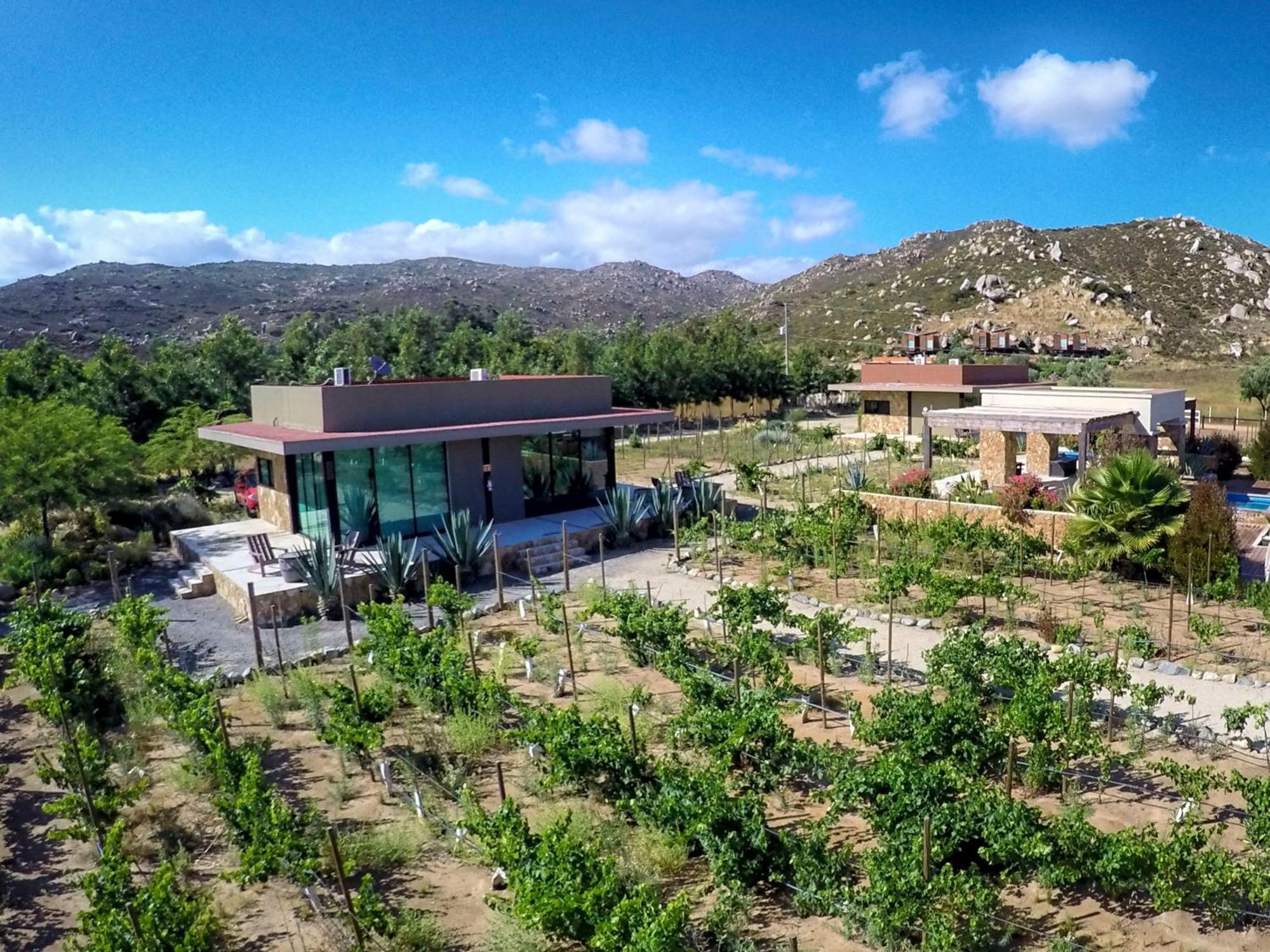 Hotel Boutique Valle De Guadalupe & Spa Δωμάτιο φωτογραφία