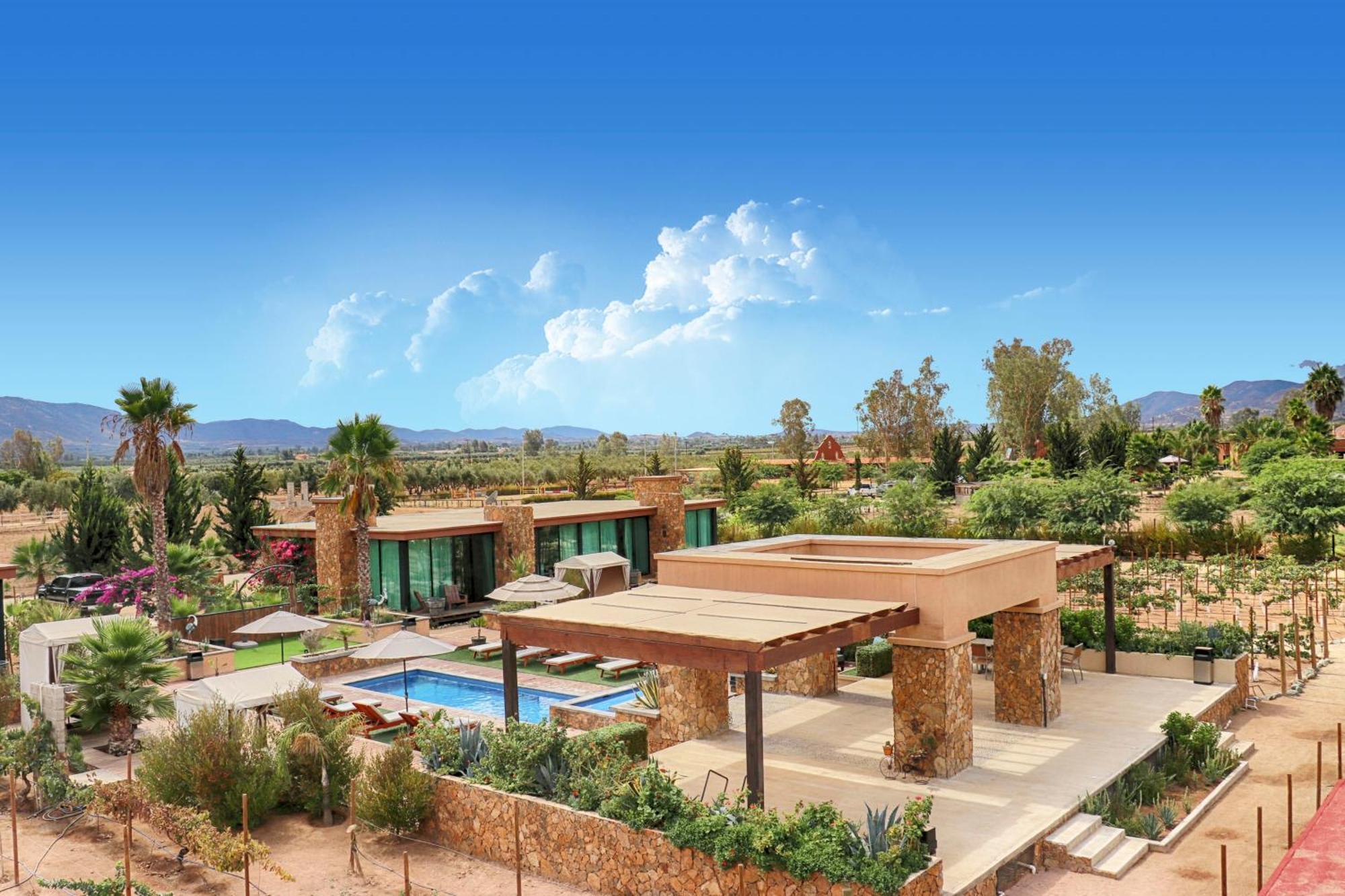 Hotel Boutique Valle De Guadalupe & Spa Δωμάτιο φωτογραφία